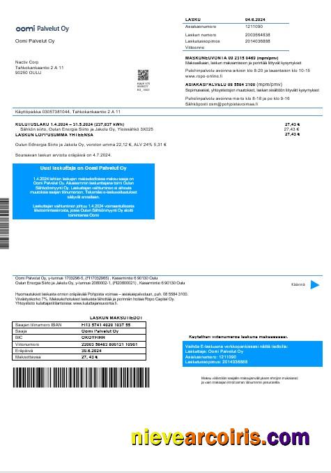 Finland Oomi Palvelut Oy electricity business utility bill